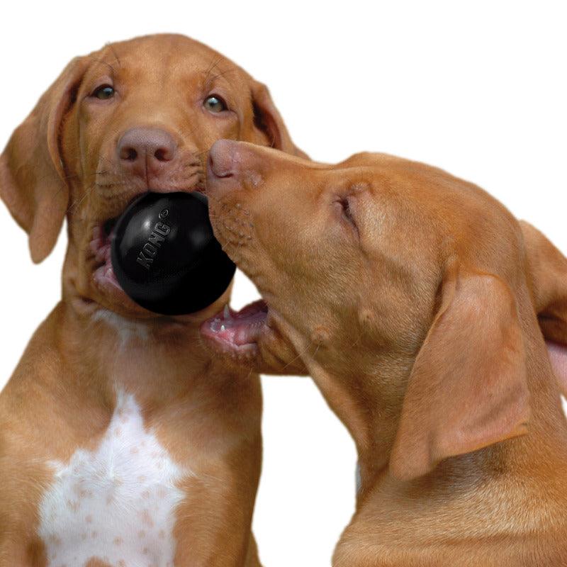 KONG Extreme Ball - Big Dogs Only