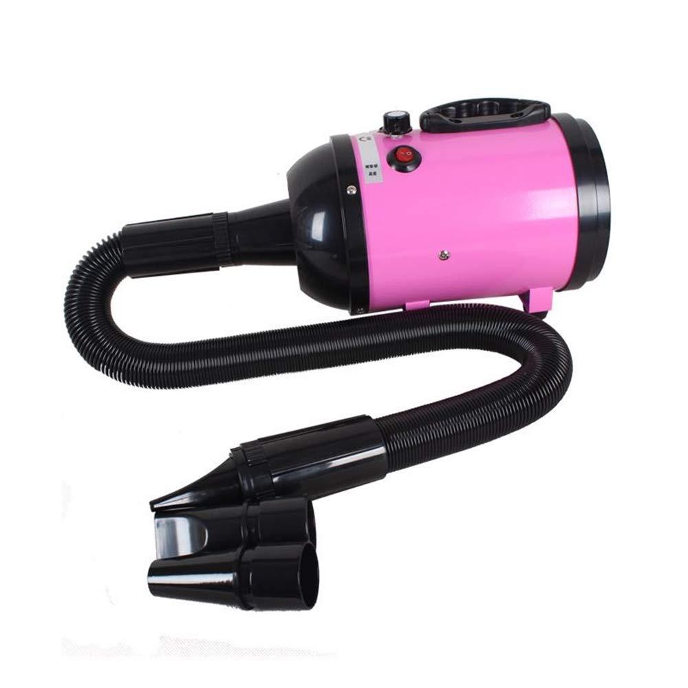 Powerful Dog Hair Dryer Big Dogs Only