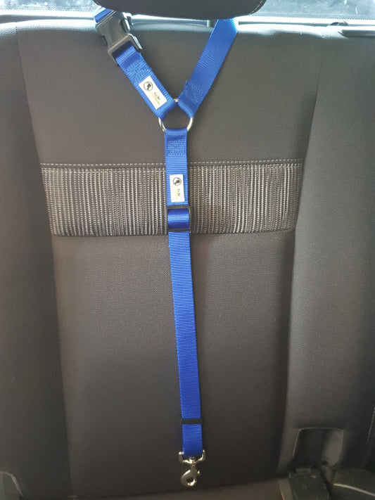 Dog Restraints in Cars: A Must Have!