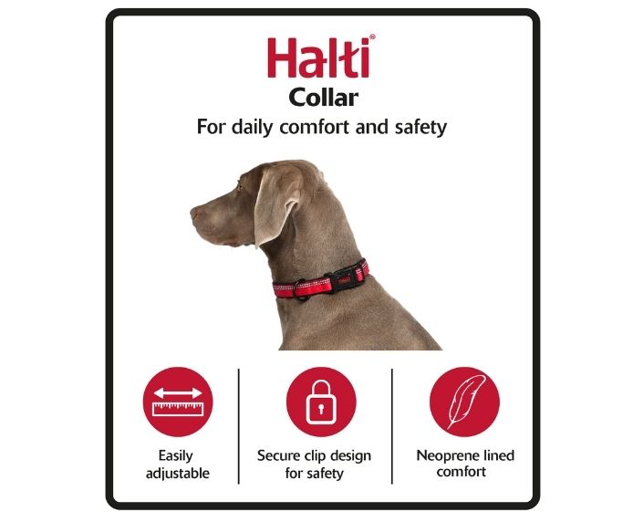 Large Halti Comfort Collar