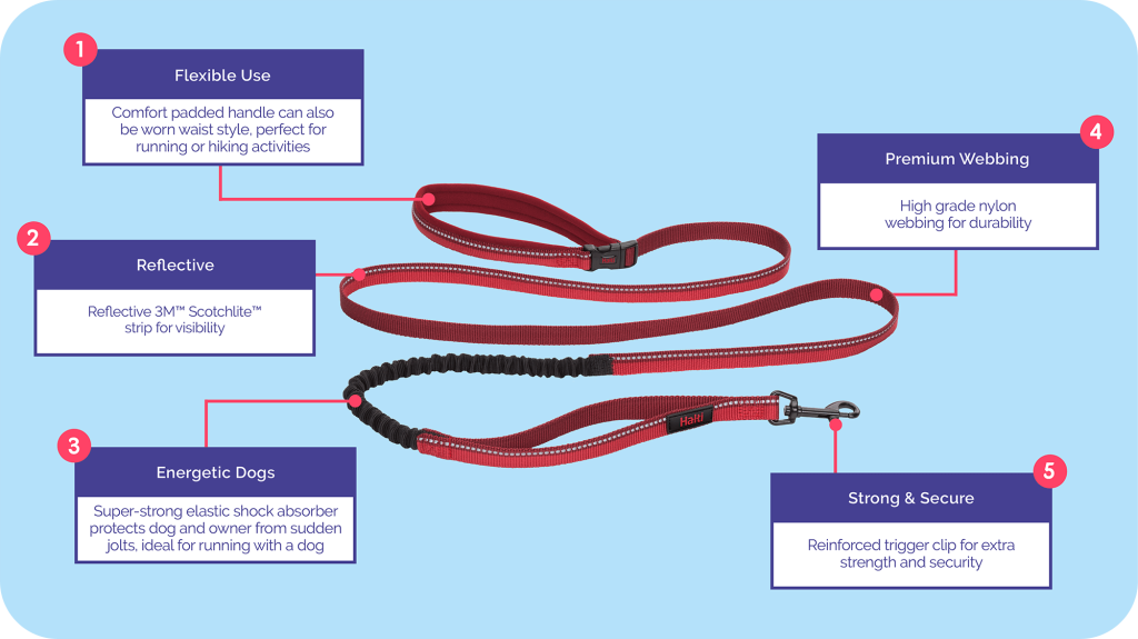 Large Halti Active Lead