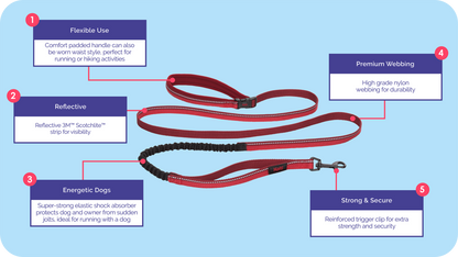 Large Halti Active Lead