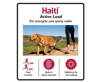 Large Halti Active Lead