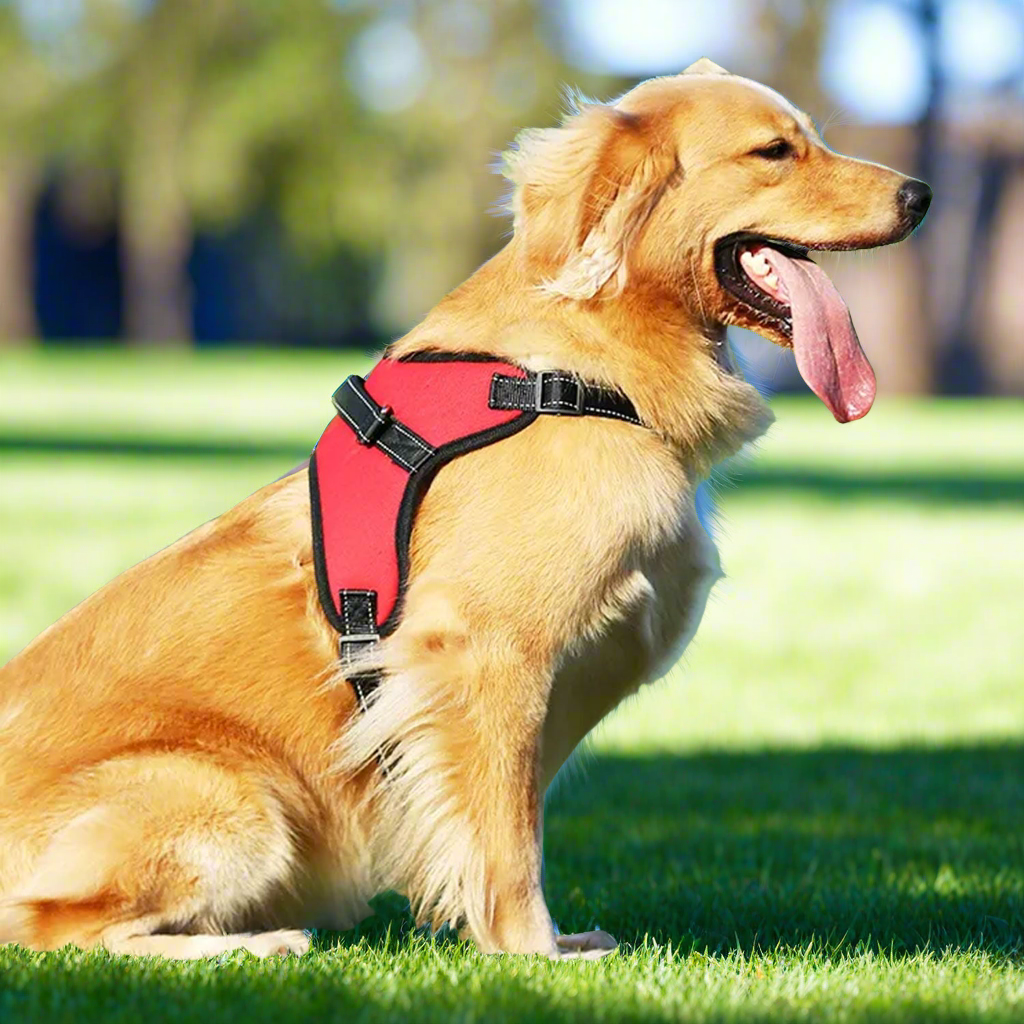 FLOOFI XXL Size Dog Harness XXL Size (Red)