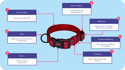 Large Halti Comfort Collar