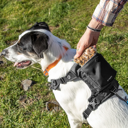 Kurgo – LARGE Stash n’ Dash Dog Harness