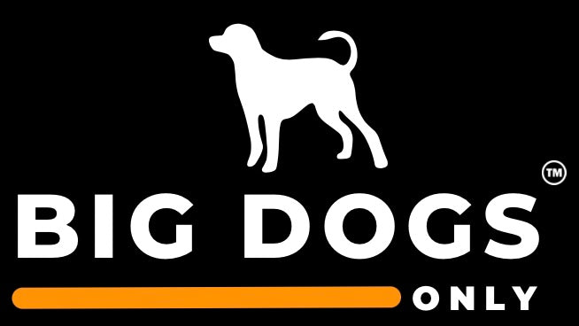 Big dog hot sale shop