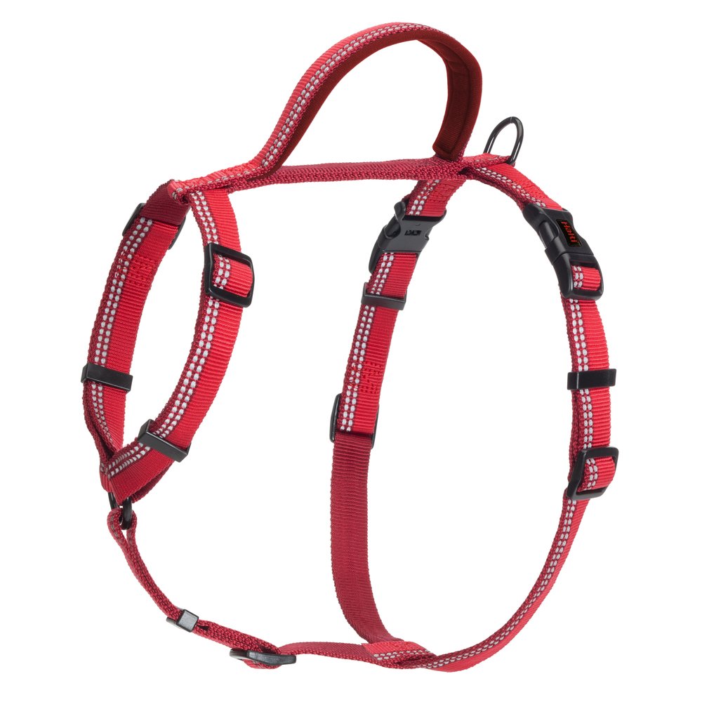 Large Halti Walking Harness