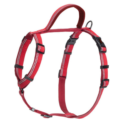 Large Halti Walking Harness