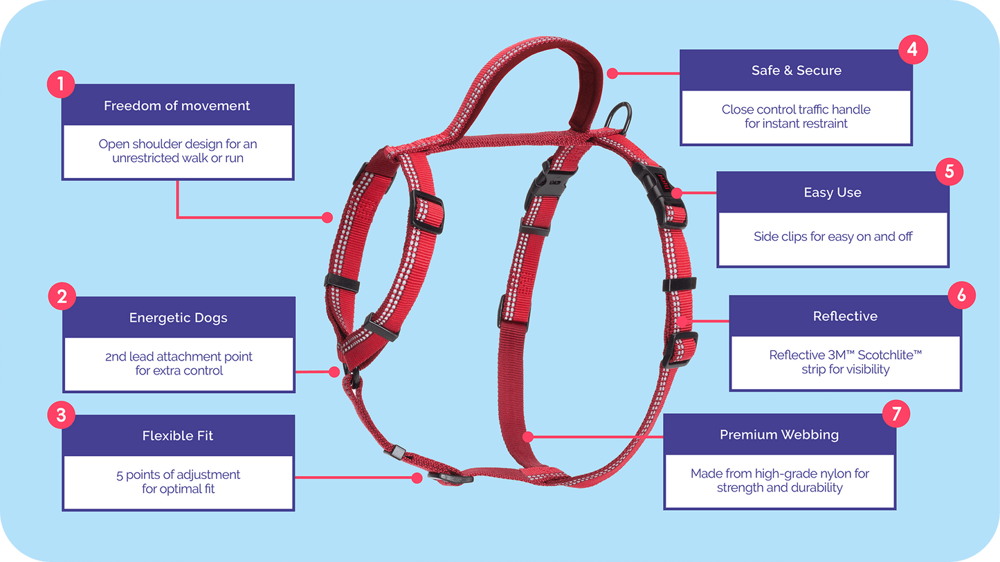 Large Halti Walking Harness