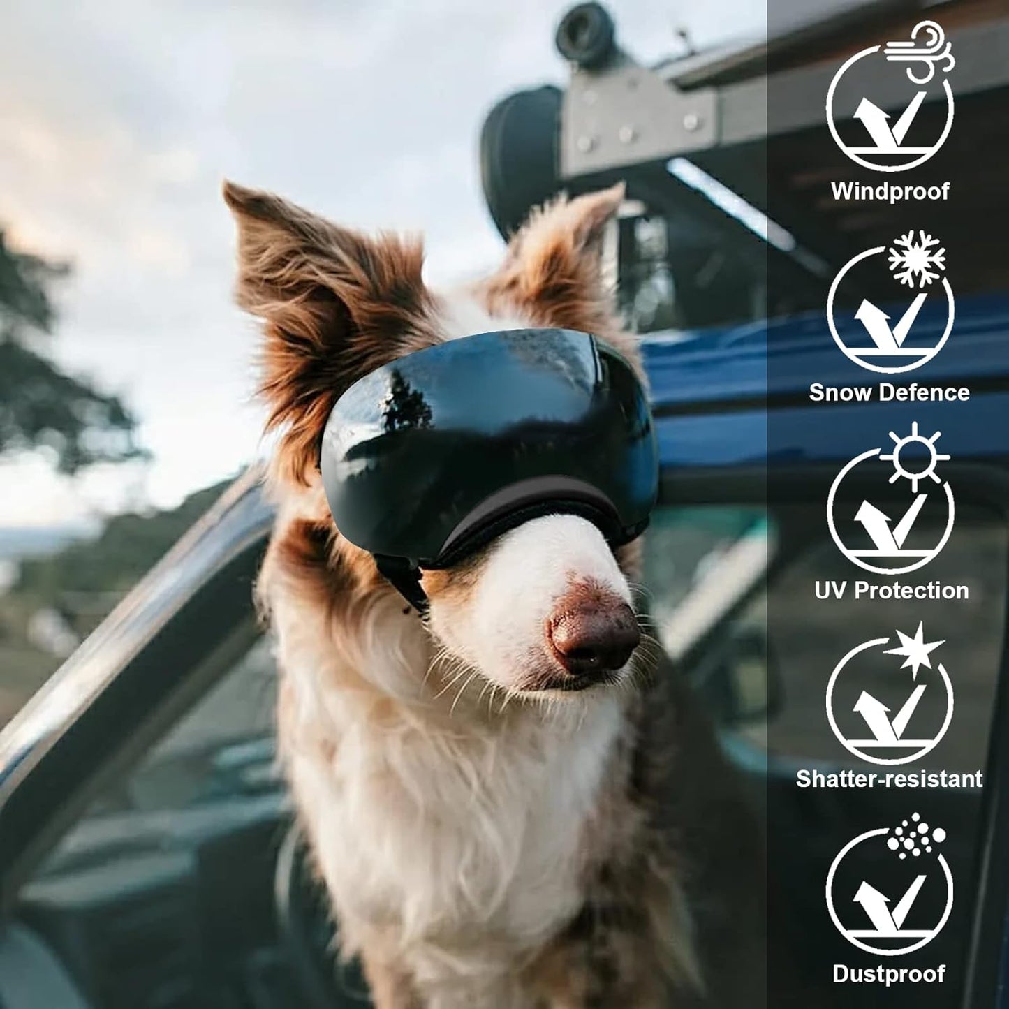 Dog UV Goggles