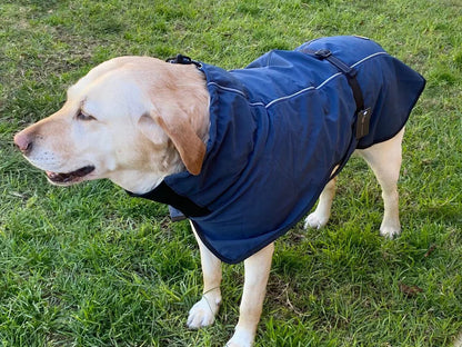 XXL Dog Windbreaker Jacket - Black