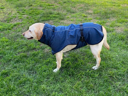 XXL Dog Windbreaker Jacket - Black