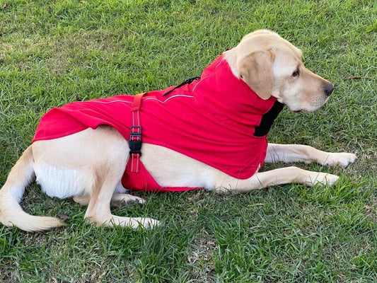 XXL Dog Windbreaker Jacket - Red