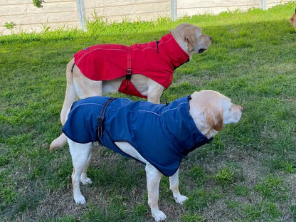 XXL Dog Windbreaker Jacket - Red