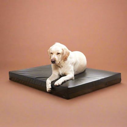 XL Waterproof Dog Bed