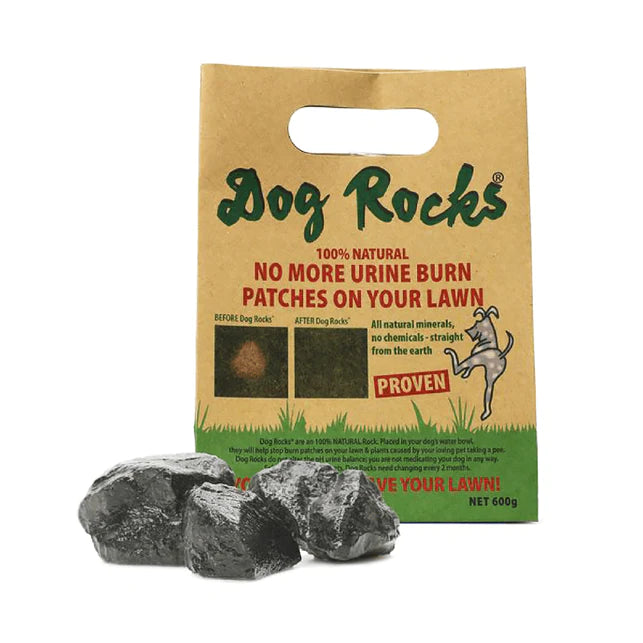 Dog Rocks - Big Dogs Only 