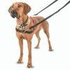 Large Front Control Harness - Big Dogs Only 