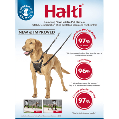 Large No Pull Harness - Big Dogs Only 