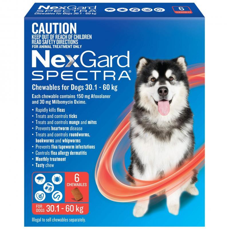 Nexgard SPECTRA – Flea, Tick, Heartworm & Worm Control - Big Dogs Only 