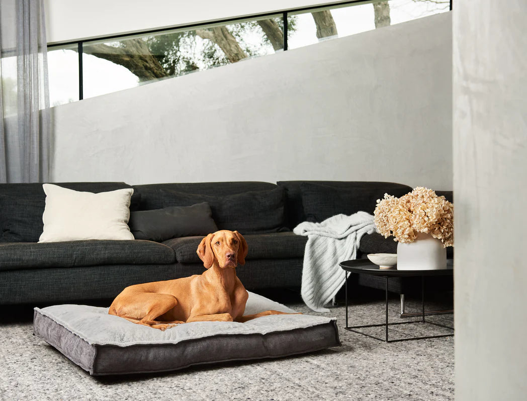 Ottoman with clearance dog bed