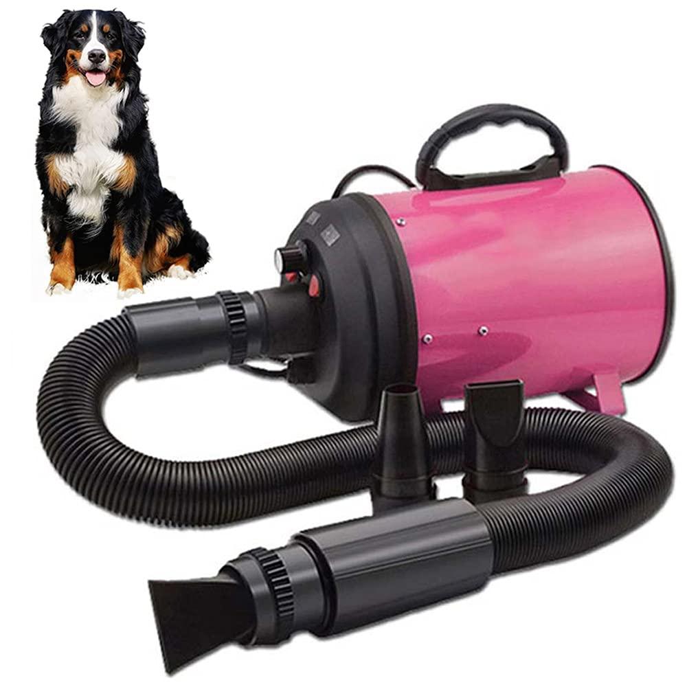 Powerful Hair Dryer - Big Dogs Only 