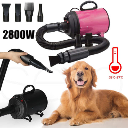 Powerful Hair Dryer - Big Dogs Only 