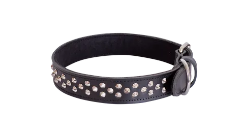 Studded Leather Collar - Black - Big Dogs Only 