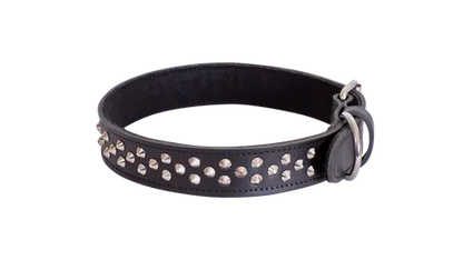 Studded Leather Collar - Black - Big Dogs Only 